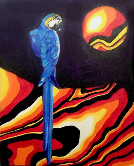 Macaw Portal